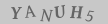 captcha-input