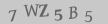 captcha-input